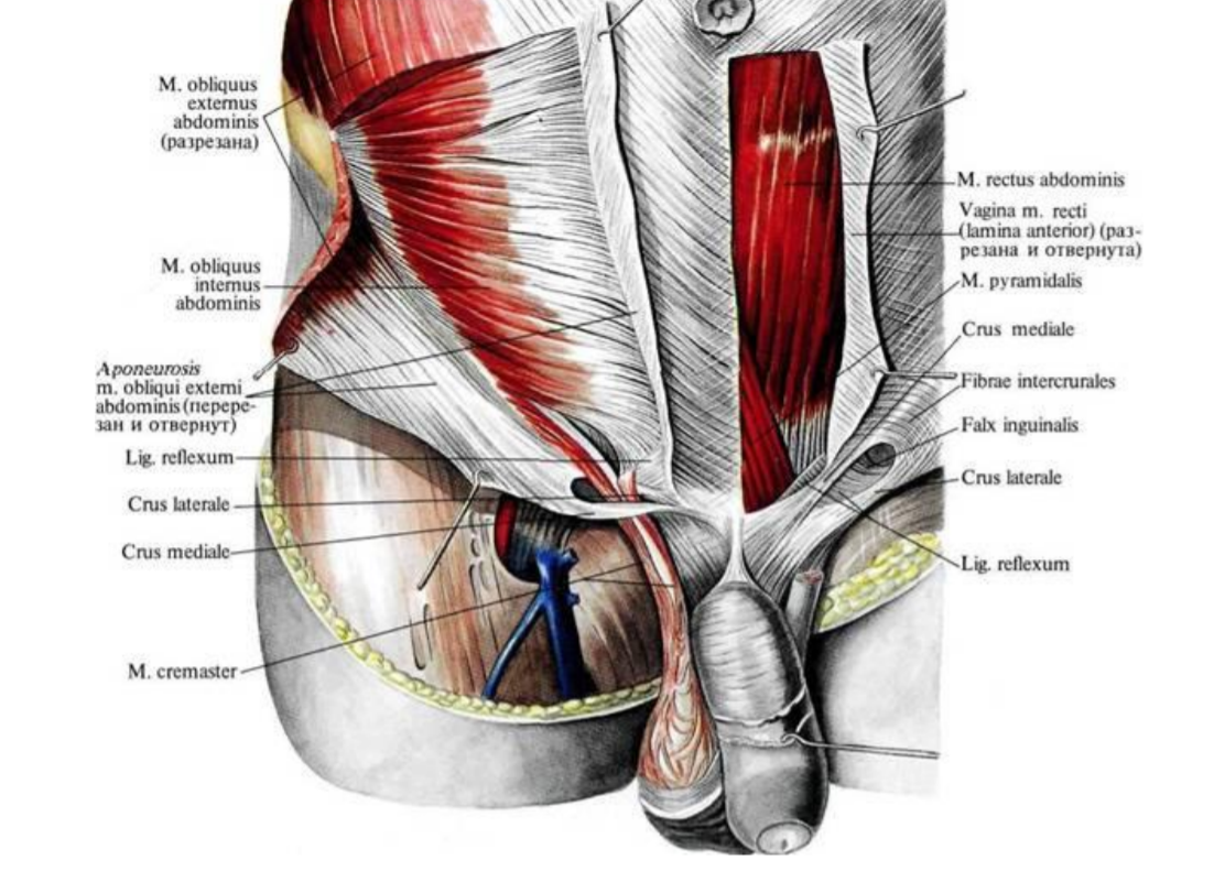 [Игорь Атрощенко] Система повышения мужской сексуа_0.png